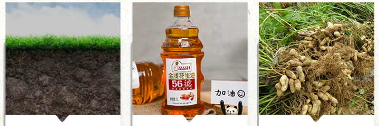 1745198557465241.png image.png