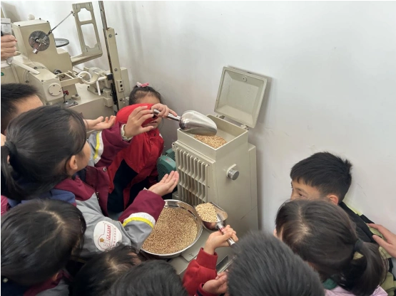 1745732051554363.png image.png