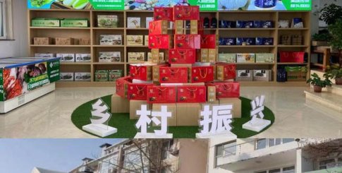 青岛市举办乡村振兴品牌盛典，青岛品品好粮油获奖！