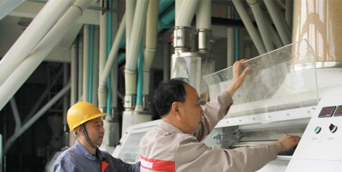 浩荡春风里 技改进行时 品品好食品发展公司加大技改力度